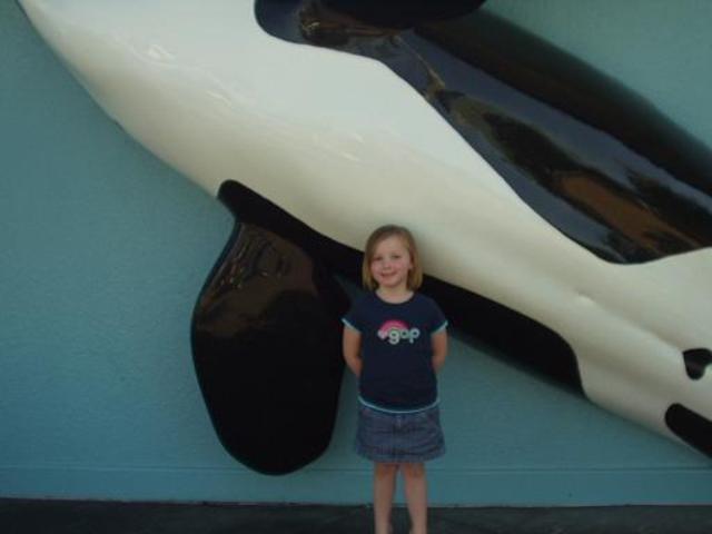 My trip to Sea World