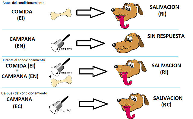 Condicionamiento clásico