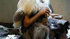 Timeline: history  of clothes