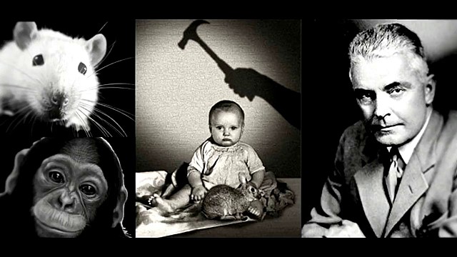 Experimento "El pequeño Albert" de Watson