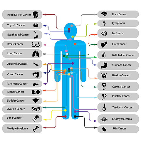 Immunotherapy for Cancer Treatment
