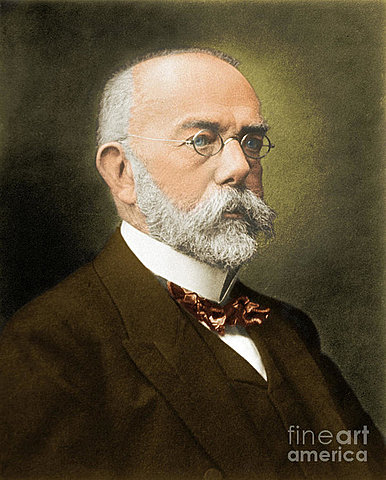 Robert Koch