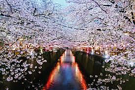 Student exchange program