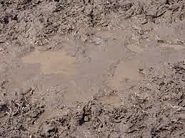 A LONG WALK TO WATER   (Nya)