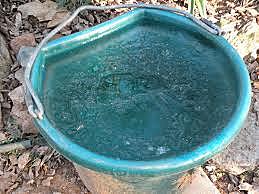 A LONG WALK TO WATER   (Nya)