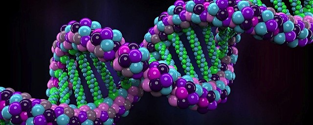 Human Genome Project