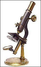 compound microscope