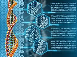 Human Genome Project