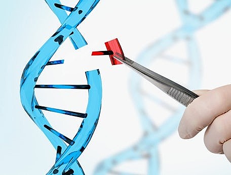 Gene Editing