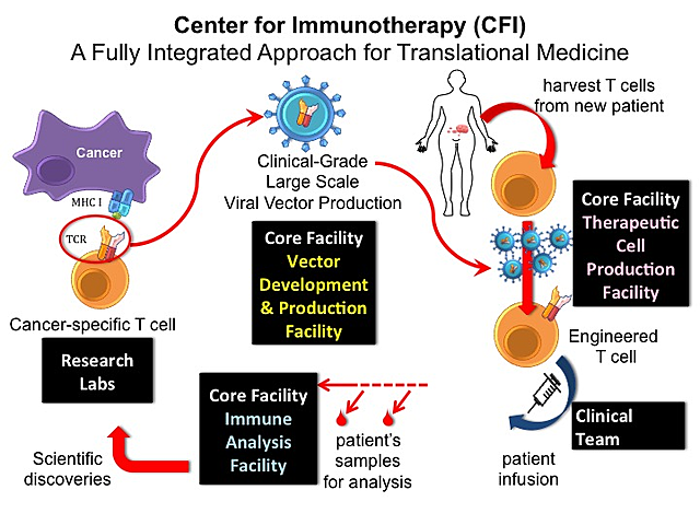 Immunotherapy For Cancer
