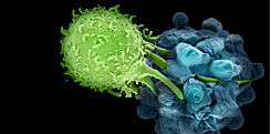 Immunotherapy for Cancer Treatments