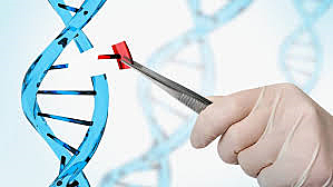 Gene Editing