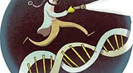 Timeline: The medical revolution