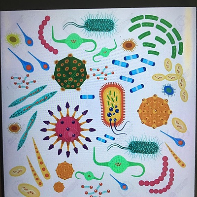 Timeline: Microbiología: Su historia