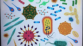 Timeline: Microbiología: Su historia