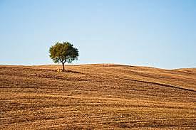 Fin de la programa Bracero