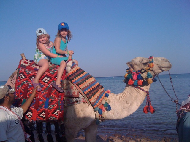 Vi åkte till Egypten!