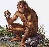 Homo Habilis