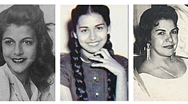 Timeline: The Butterflies