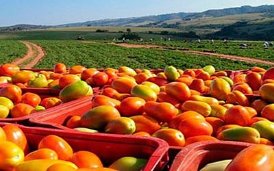 Desarrollo del comercio