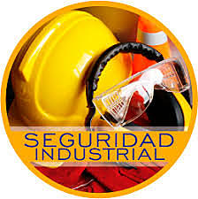 Institucionalización de la seguridad industrial