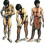 the history of the wardrobe