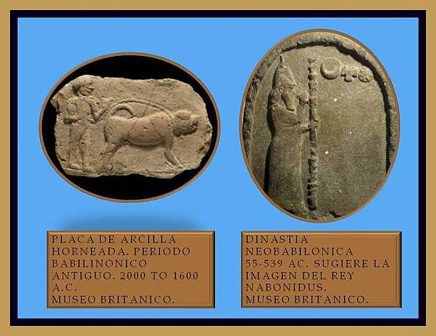 COMO ES QUE SE FUERON COBRANDO LOS CREDITOS