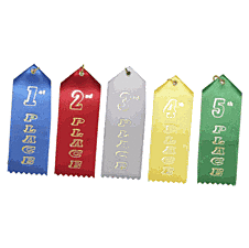 I won 1st within the school