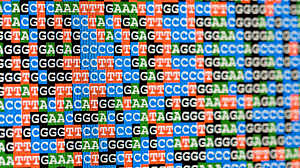 Human Genome Project