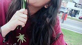 Timeline: mi biografia