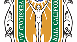 Timeline: Important dates in the development of the English language.