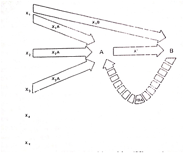 Evolución de la comunicación