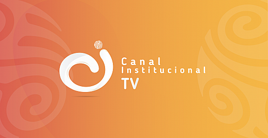 Aparición del canal institucional