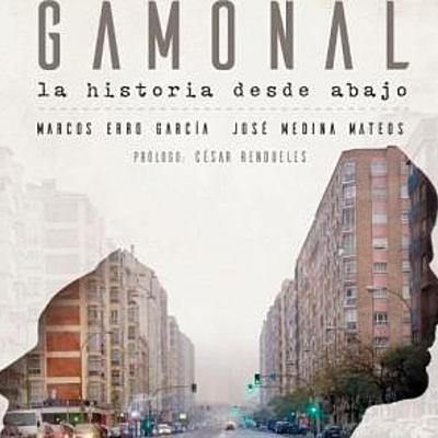 Timeline: Conflicto Gamonal