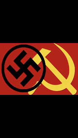 Sozialistek eta naziek boto gehien jaso zituzten