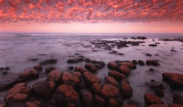 Aparició de la vida