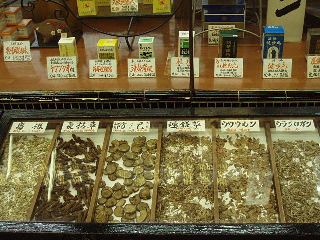 China setas medicinales.