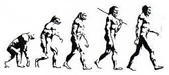 THEORY OF EVOLUTION