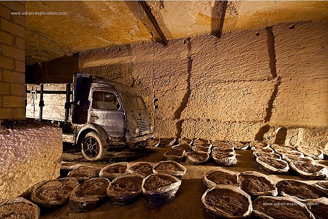 Ultimo cultivador de champiñon