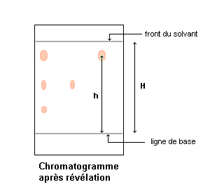 Séance 4 : Identification des sucres par CCM.