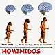 Cerebro en la evolución del hombre