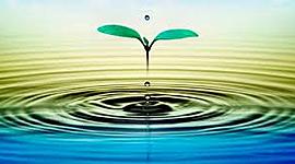 Timeline: METABOLISMO DEL AGUA