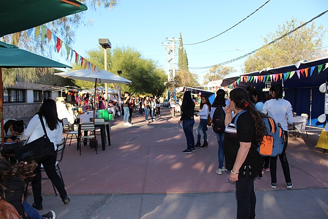 Sondeo del campo de investigación
