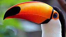 Timeline: Historia da poluição