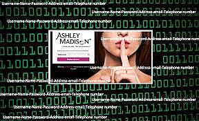 publicación de datos ashley madison