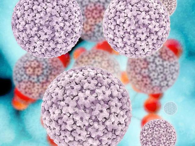 Doctina del contagio animado