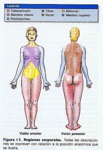 Vida del médico feng Chiao Chang