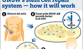 Stem Cell Research