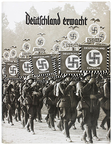 nsdap er det største partiet