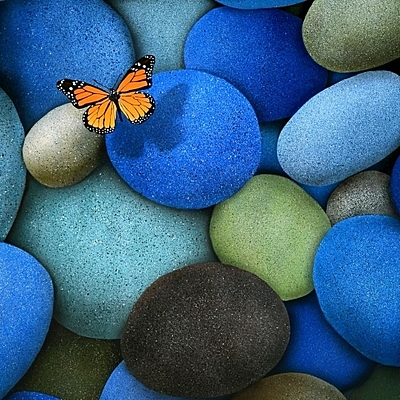 Timeline: Historias que educan